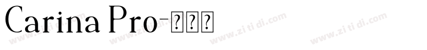 Carina Pro字体转换